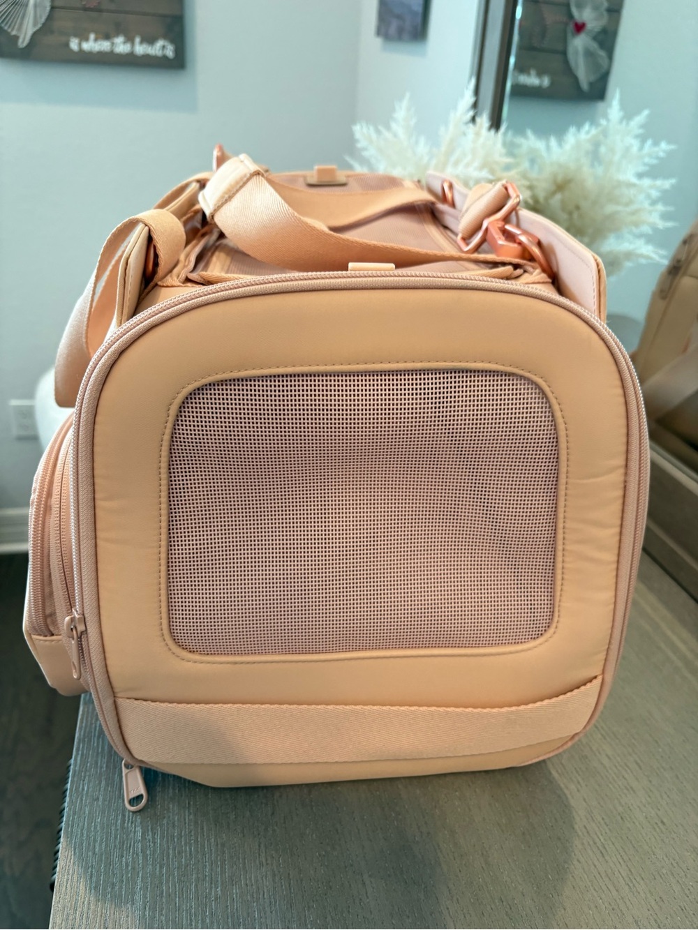 Diggs Travel Pet Carrier for Small Dogs and Cats with Shoulder Strap (Blush) - Picture 7 of 10